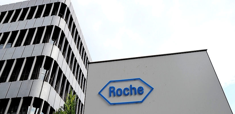 Roche holding